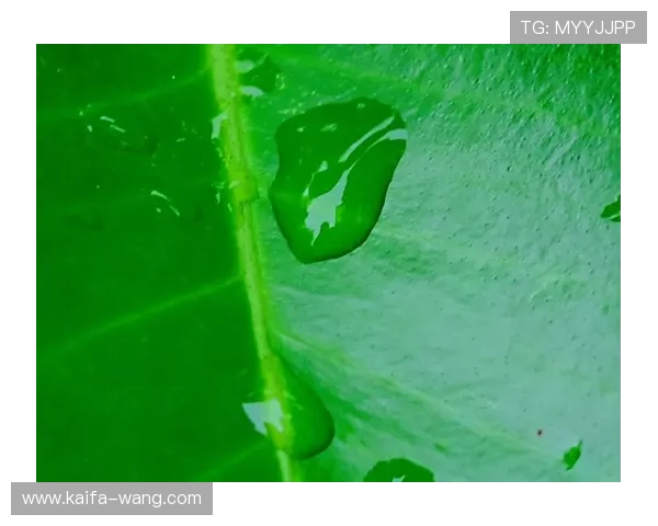 凯发在线注册下载app注重用户隐私保护，打造安全绿色的线上娱乐环境