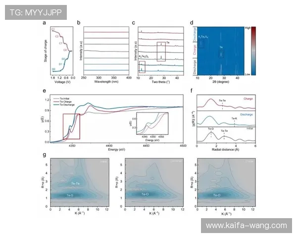 马来西亚云顶集团在国际市场的扩展策略与合作伙伴关系