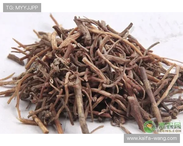 凯发旗舰厅客户端官网首页最新优惠活动与丰富游戏资源一站式获取指南