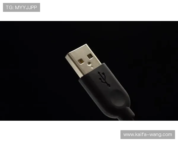 凯发首页地址的功能介绍：如何实现多平台无缝切换与丰富的游戏资源整合